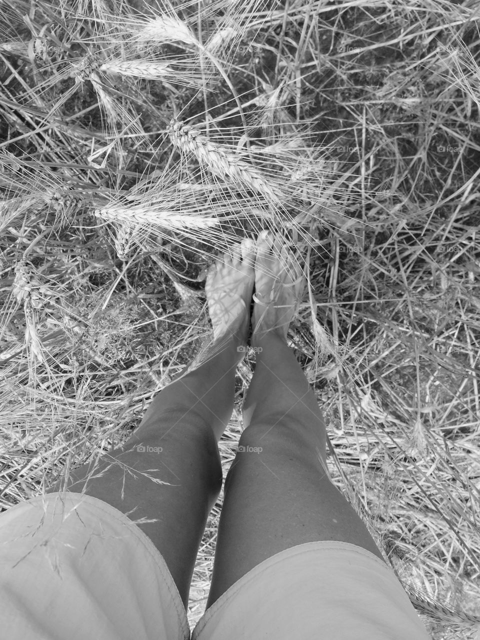 Nature, Outdoors, Straw, Hay, Grass