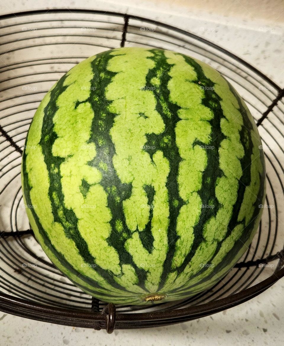 bright green striped seedless watermelon in a metal fruit basket on a kitchen counter