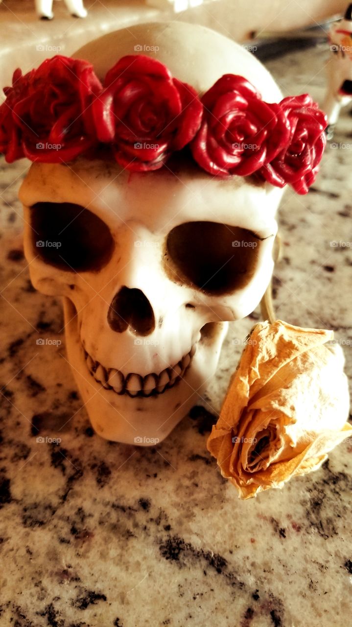 skull with flower