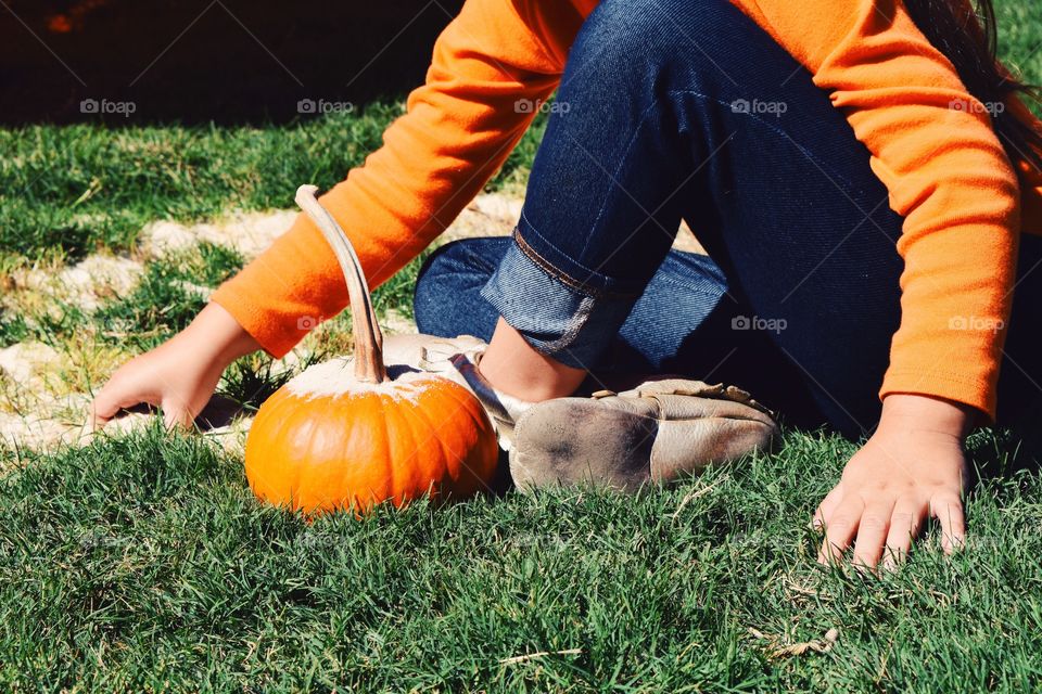 Grass, Fall, Outdoors, Nature, One