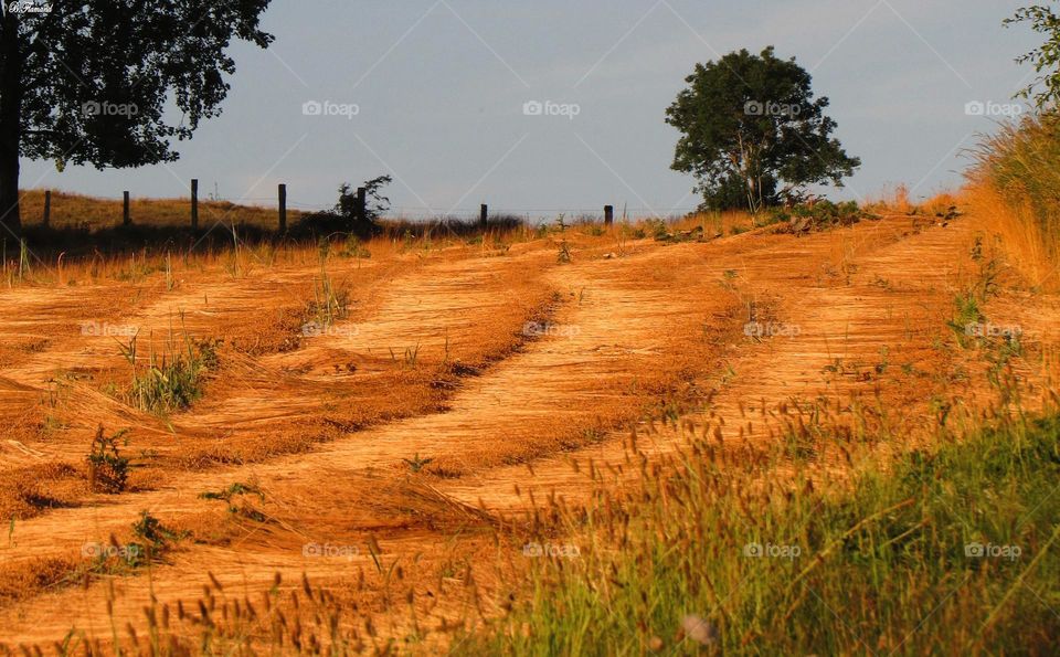 After the harvest