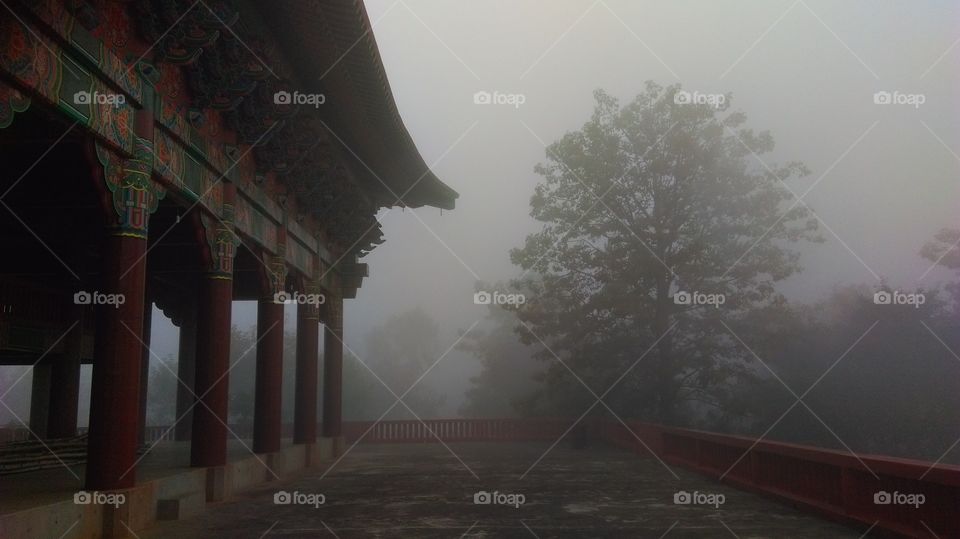 One of my favorite spots to find some sort of serenity...