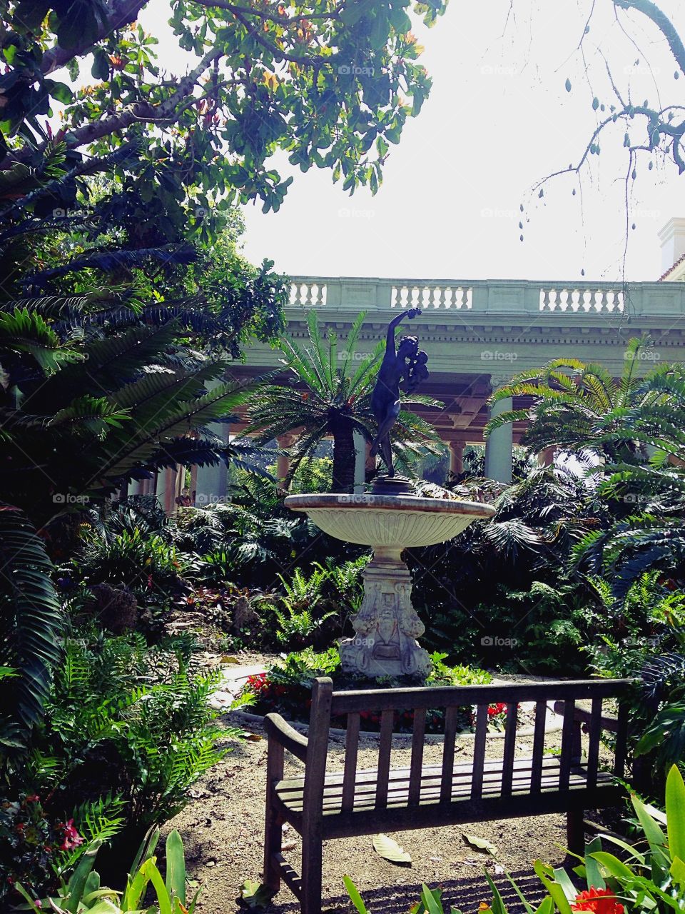 Huntington botanical garden 