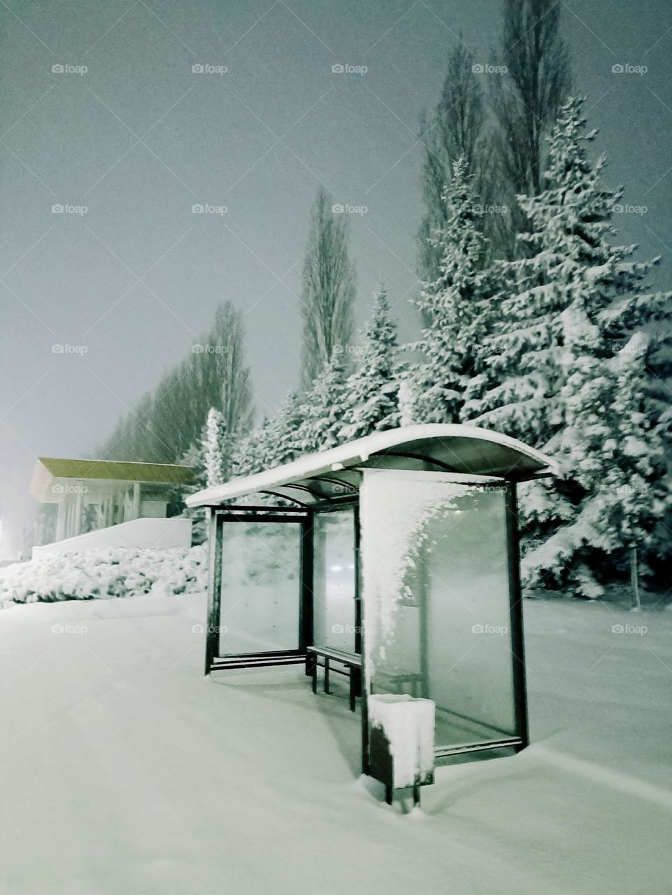 Bus stop in the snow