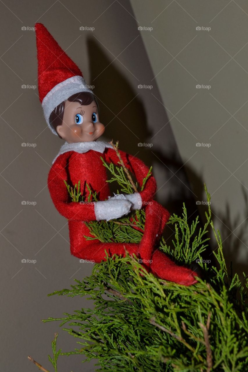 Elf in the Tree