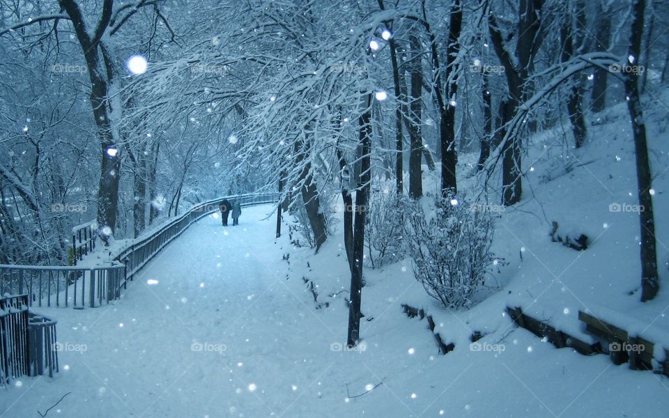 Two friends walking down a snowy path
