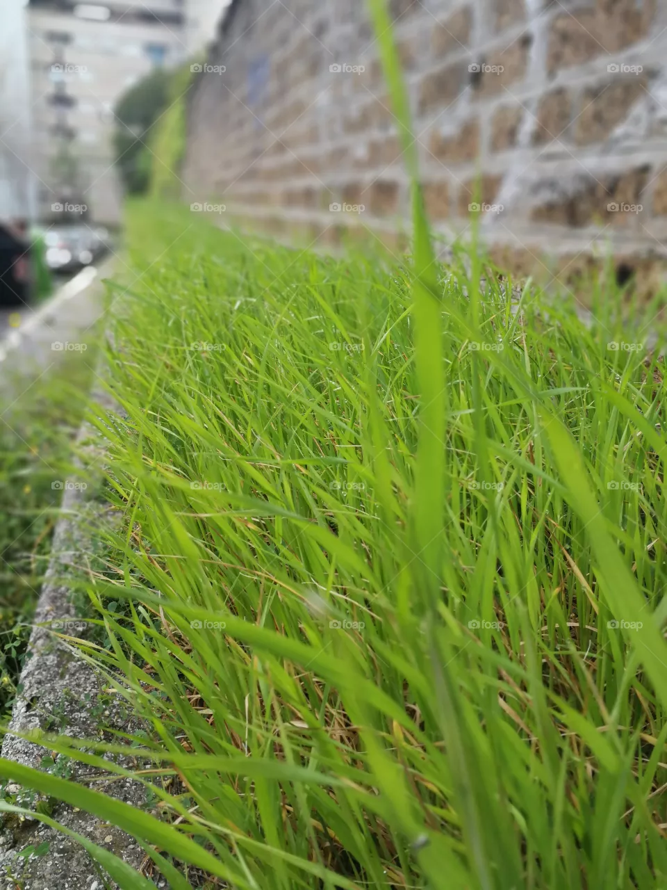 Nature