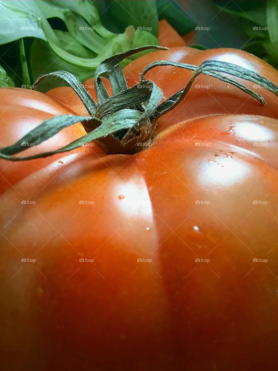 macro image of fresh tomato