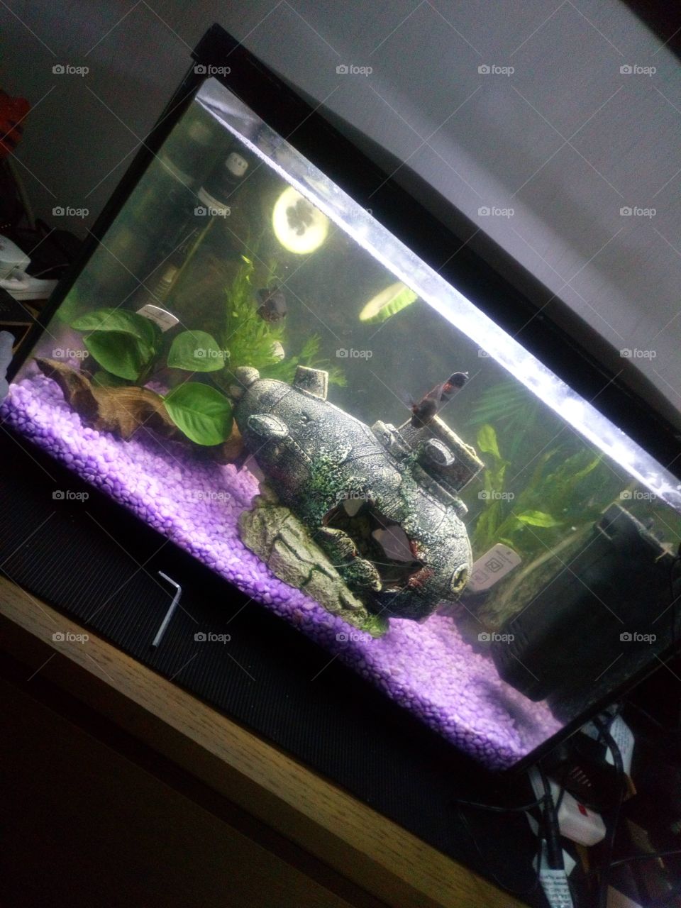 Fish tank