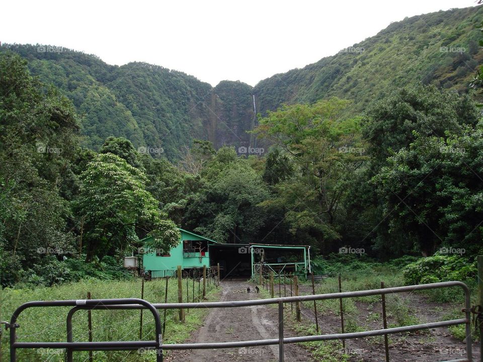 Valley of Kings Hawaii