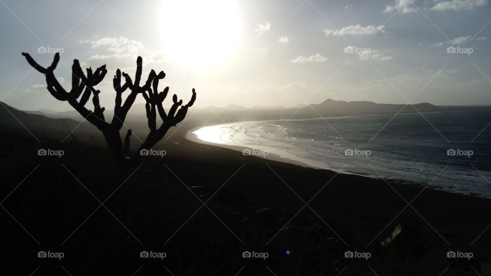 Walk towards Sum setting down