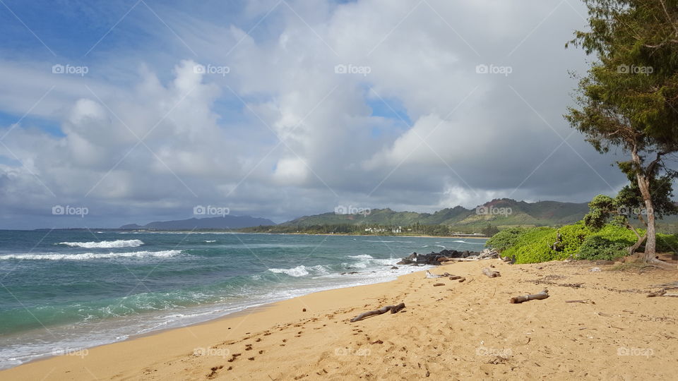 morning walk on the beach