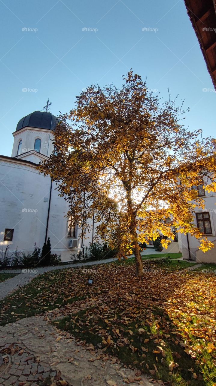 the church in the fall