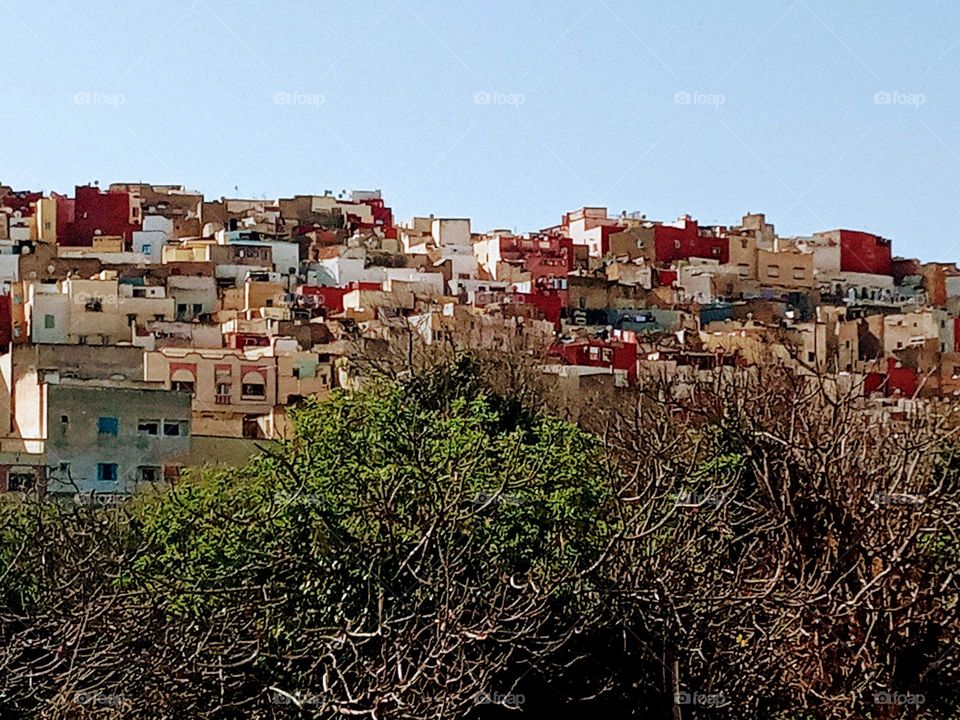 Population between the nature