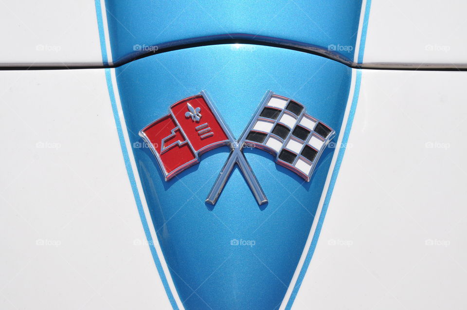 Corvette hood logo. 