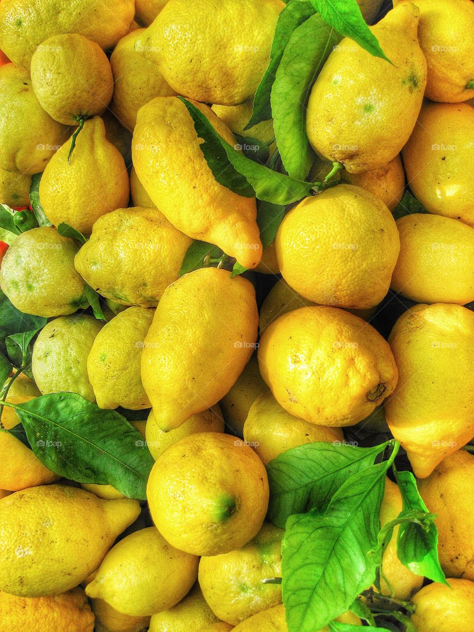 Citrus Amalfi coast 