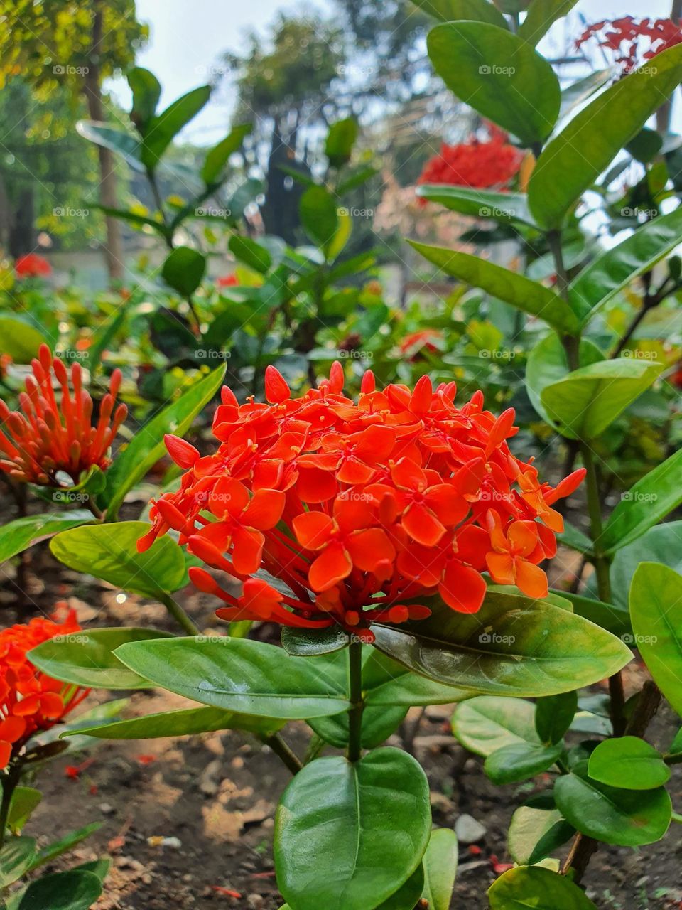 Editors ' Choice : Photo of the week