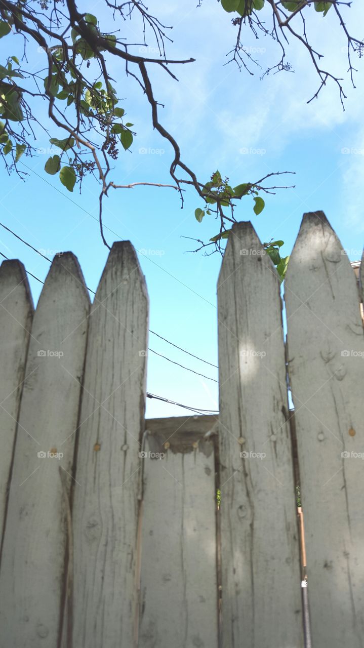 Busted Picket Fence