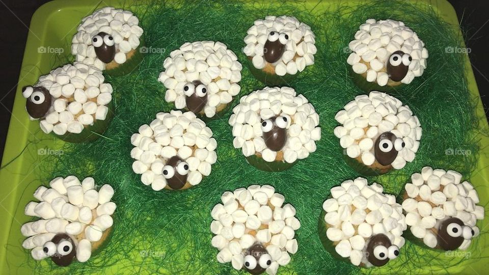 Marshmallow sheep Cupcake