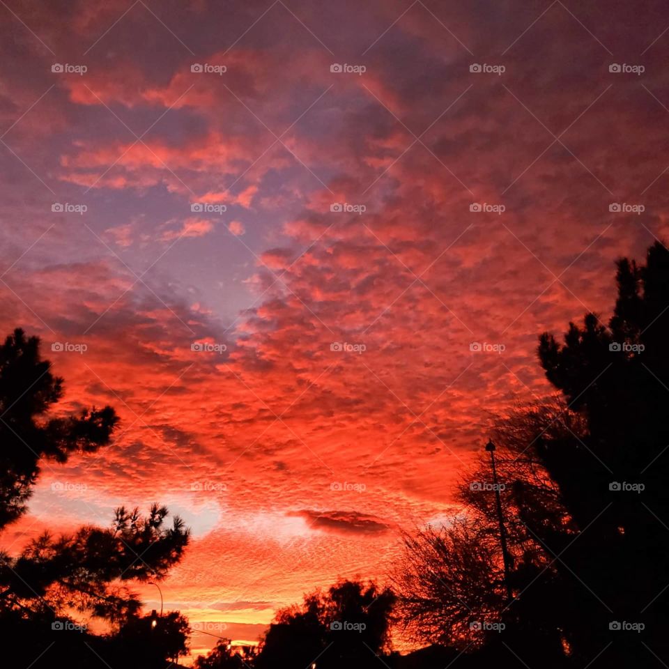 Beautiful winter sunset in the American southwest has the sky looking like it's on fire
