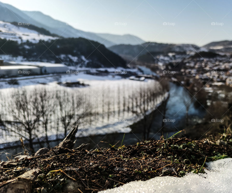 A winter landscape