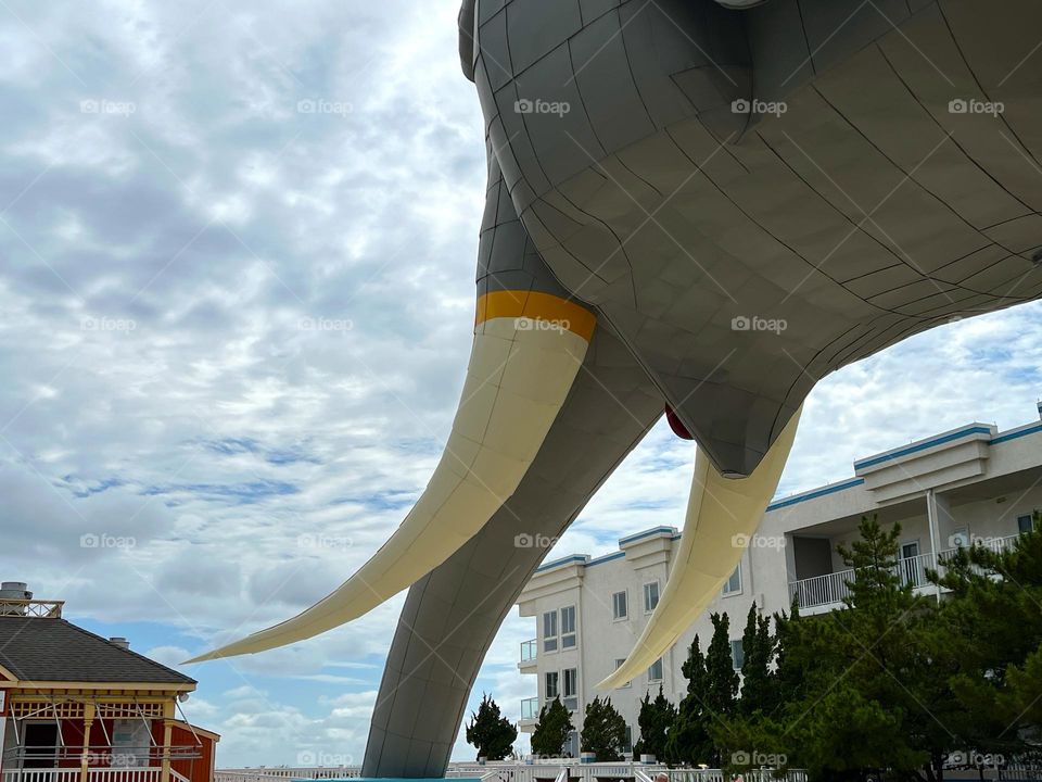 Lucy the Elephant 2024