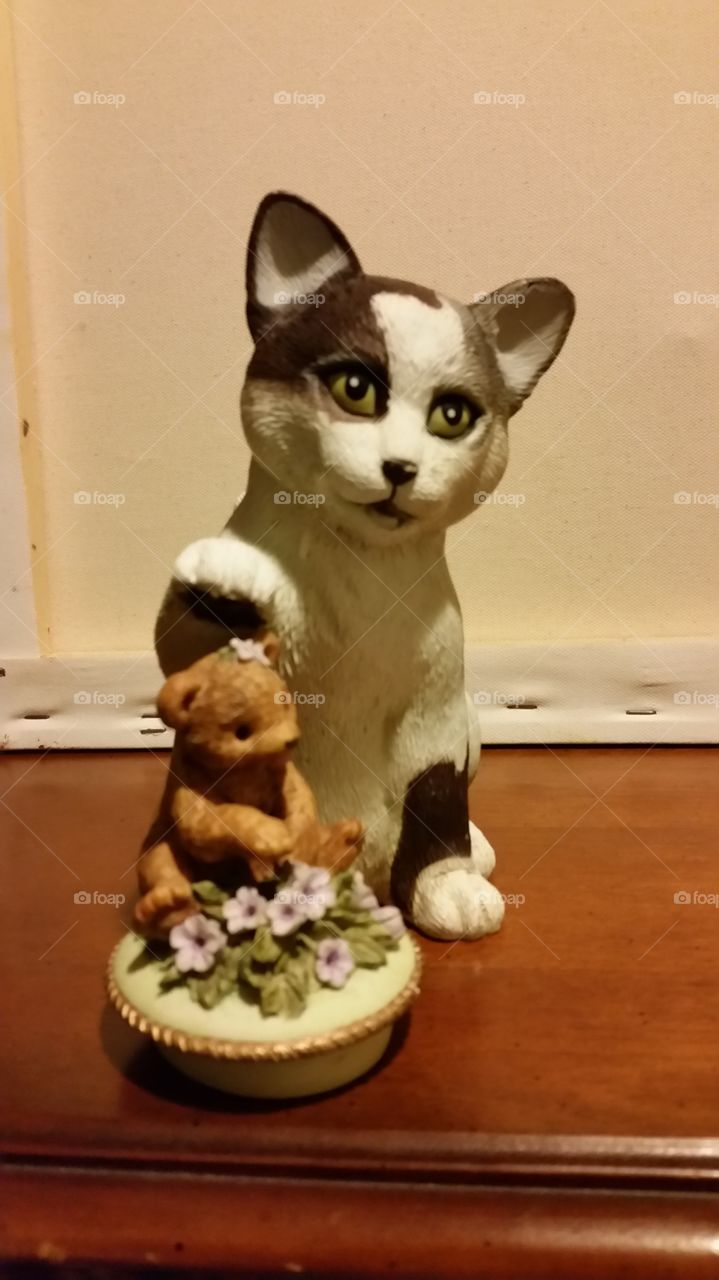 Cat blessing baby bear