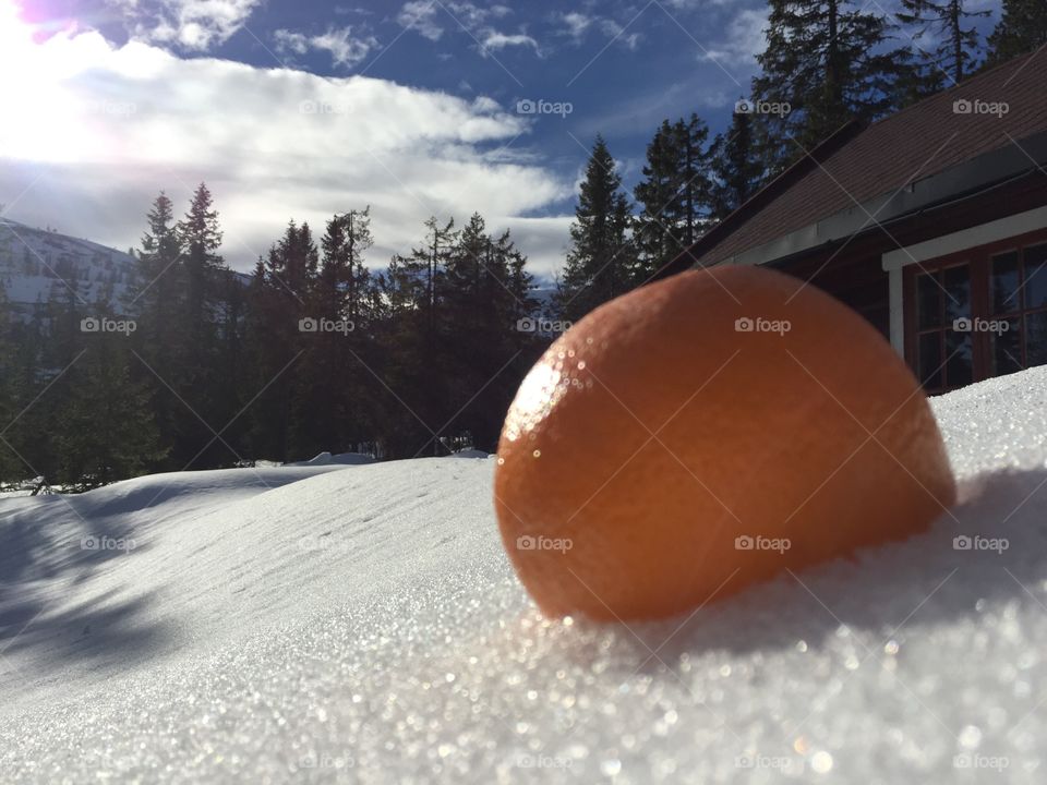 Orange in the snow