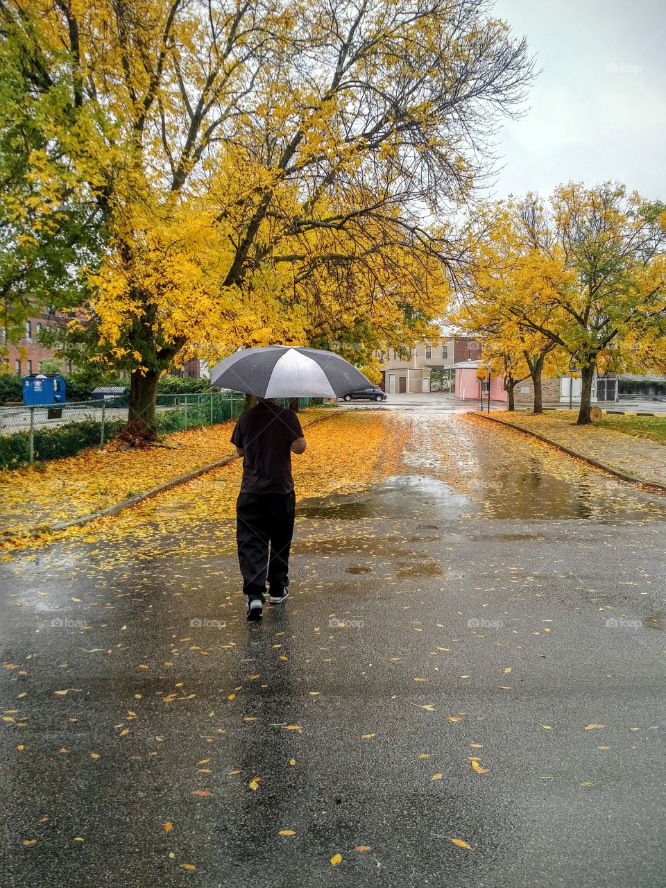 Rear view of person with umbrella