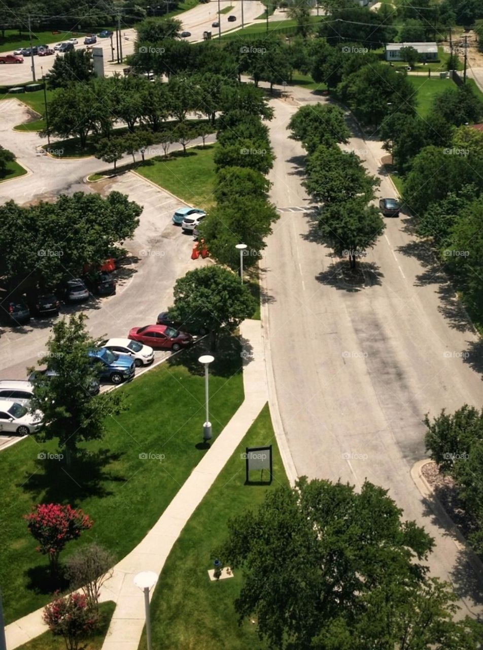 Looking Down from a Tall Building Onto an Urban Tree lined Street in Dallas, TX