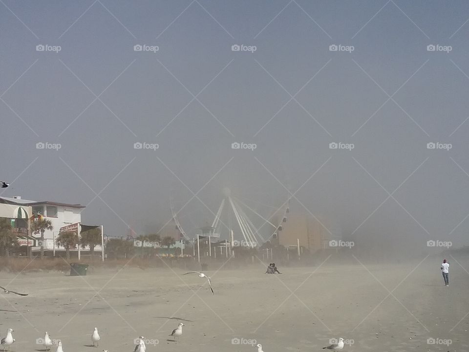 Foggy day at the beach