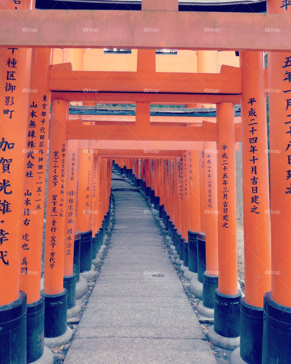Fushimi inari 