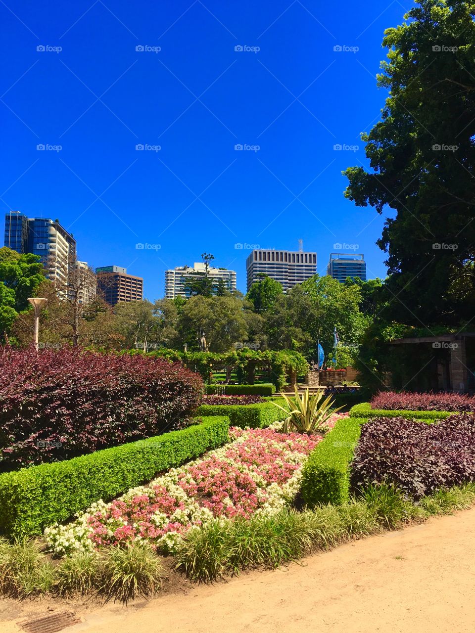 Beautiful park in city