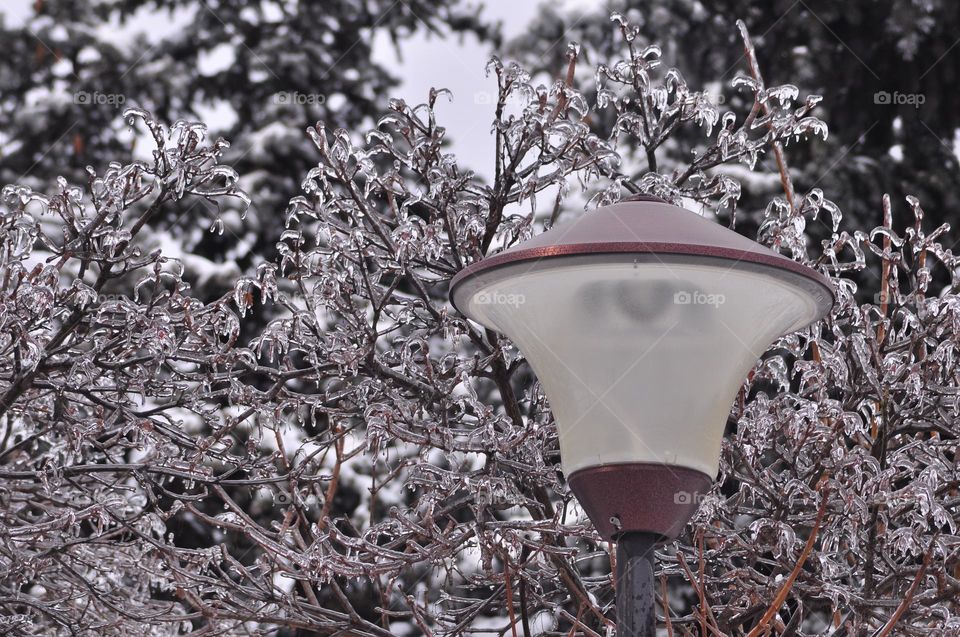 Winter in Moldova