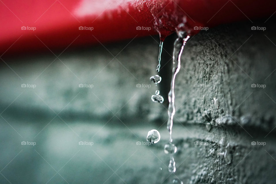 Close-up of water dripping