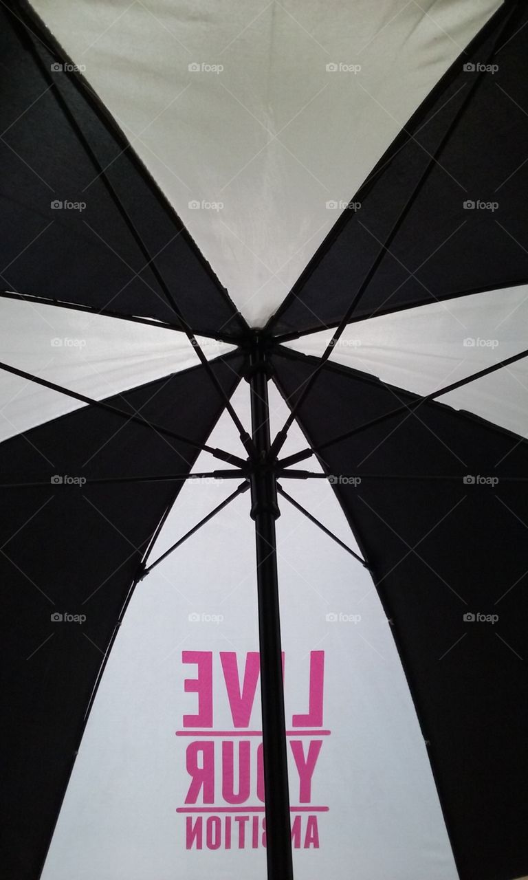 inside umbrella. umbrella