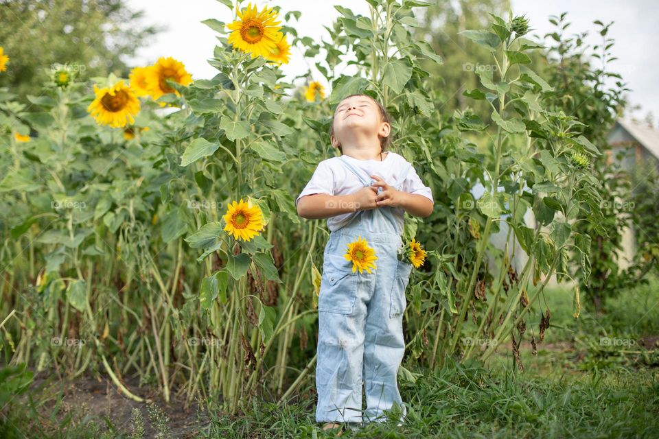 summer day