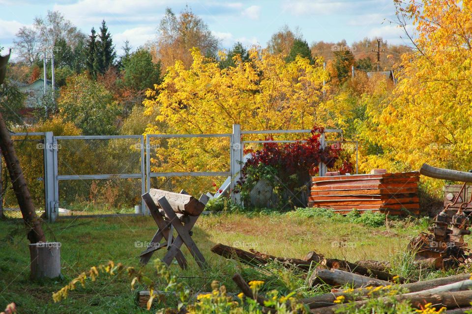 my yard looks like this in the fall