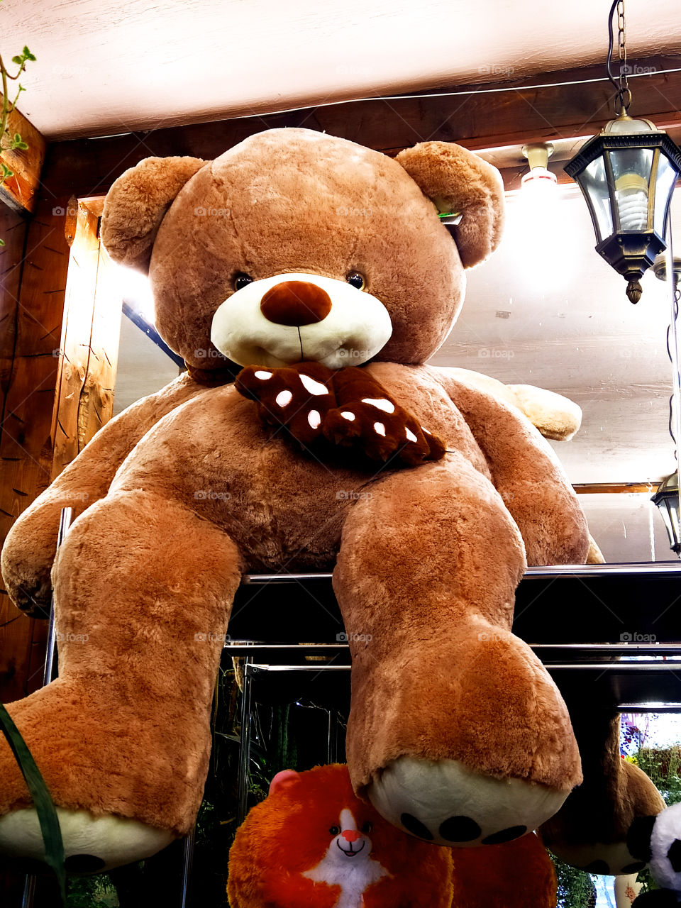 Teddy bear giant