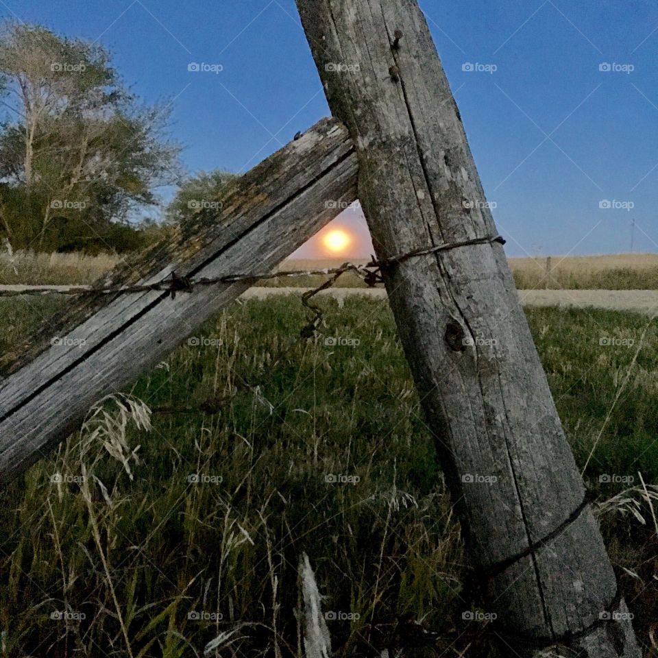 Autumn full moon in the prairie.