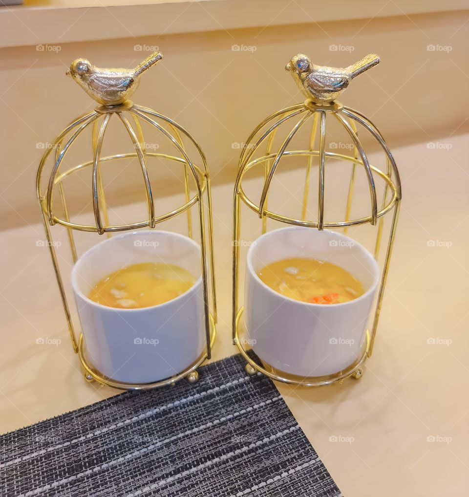 bird nest soup in bird cage