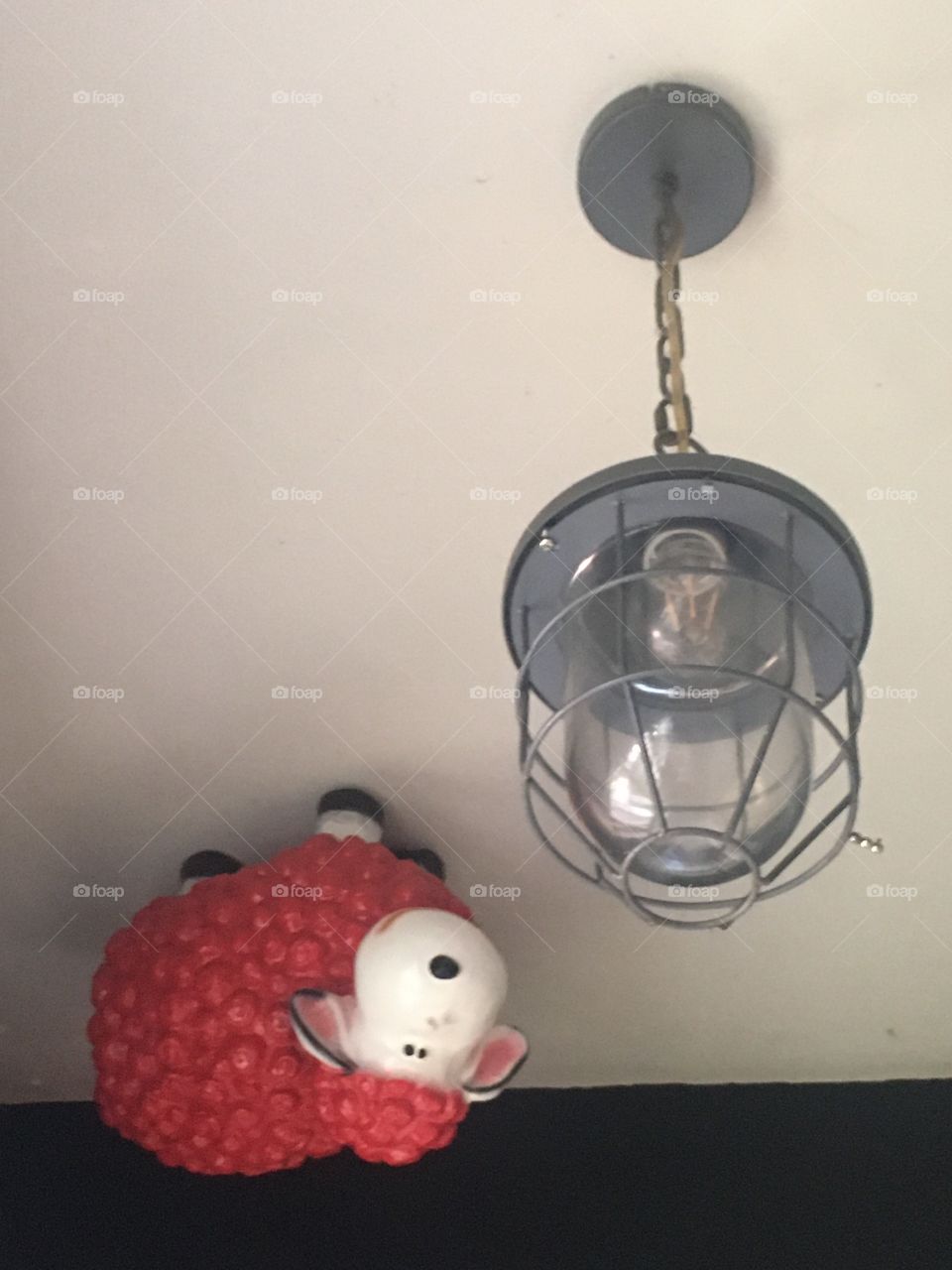 sheep upside down funny 