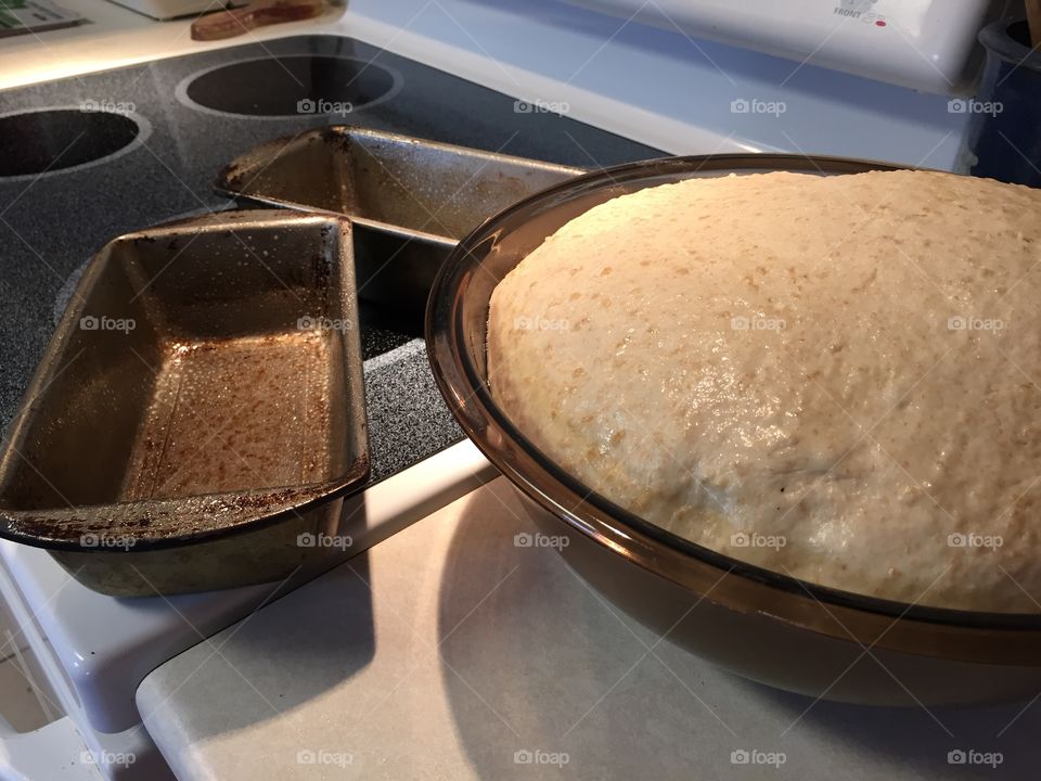 Dough rising for honey wheat bread