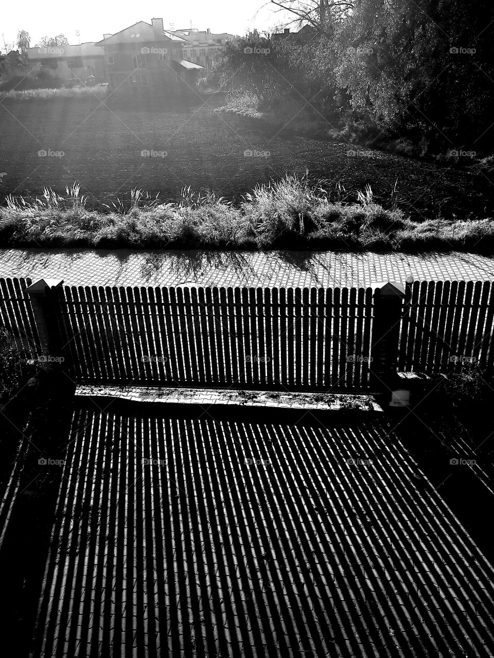 vue from above on long shadows of autumn afternoon