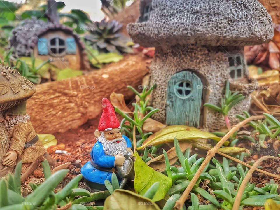 a Small gnome village, Photo taken very low angle to give a nice look