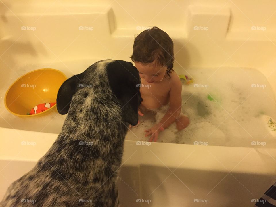 Dog with baby at bath time 