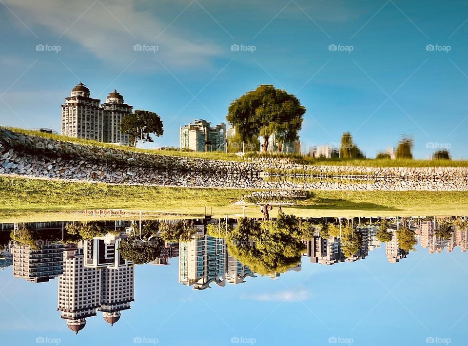 Upside down: reflections in water