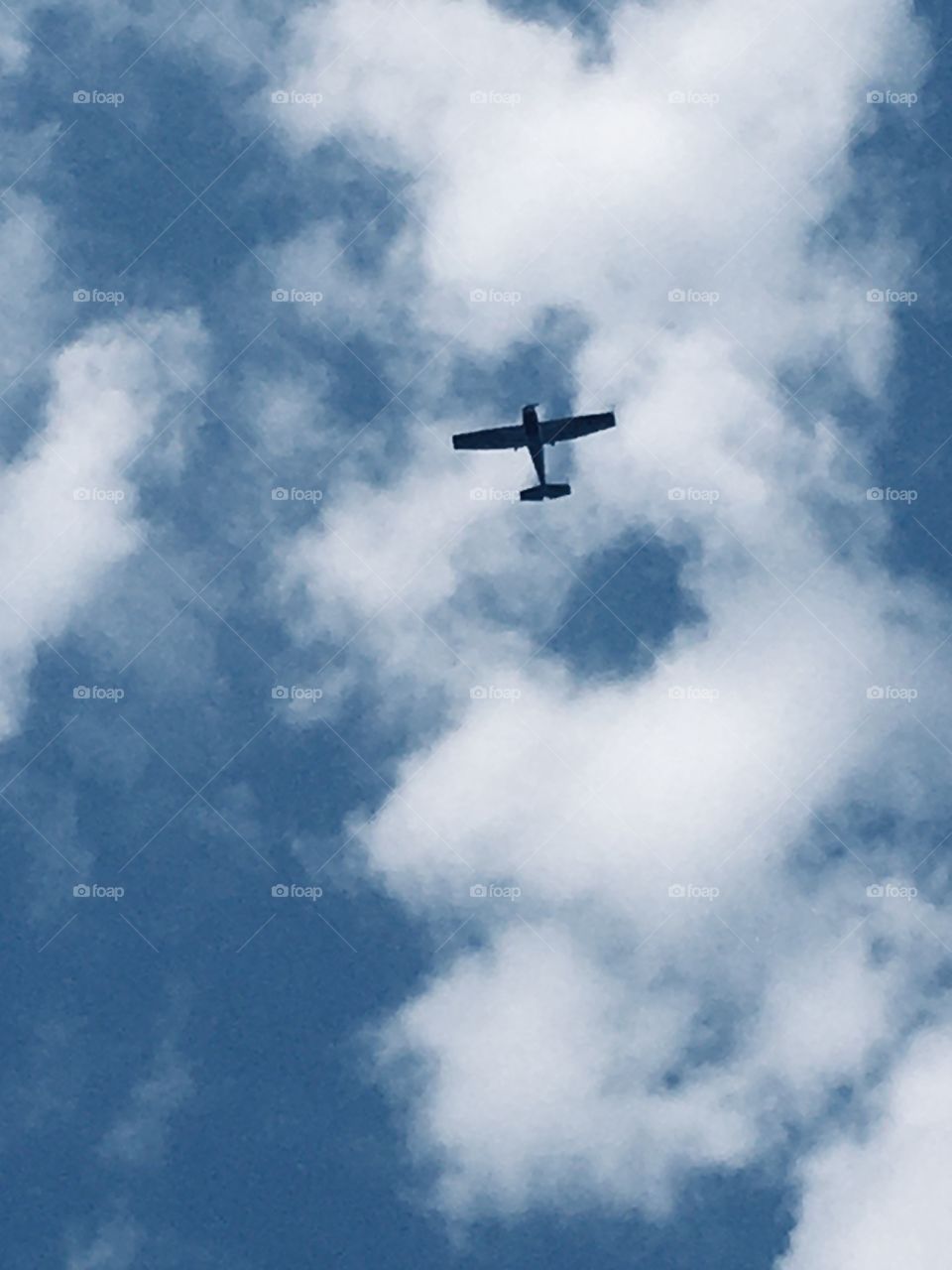 Fly away on a summer’s day