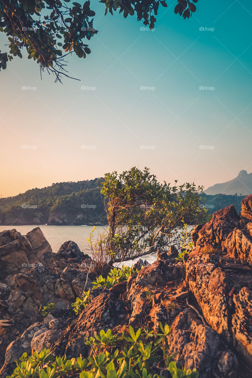 View of hills, cliff, and tree on the island 