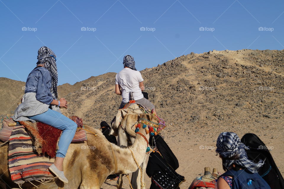 riding on the camel